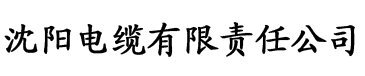 李冰沈思电缆厂logo